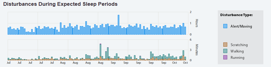 disturbances during night time